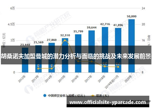 胡桑诺夫加盟曼城的潜力分析与面临的挑战及未来发展前景