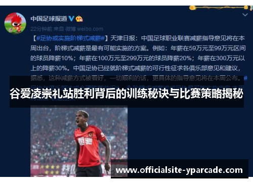 谷爱凌崇礼站胜利背后的训练秘诀与比赛策略揭秘