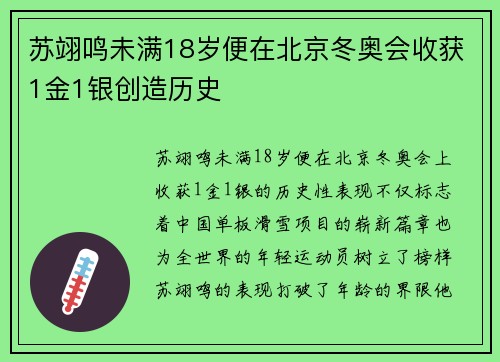 苏翊鸣未满18岁便在北京冬奥会收获1金1银创造历史